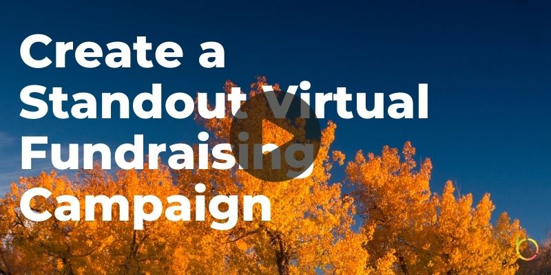 Standout Virtual Fundraising Campaign