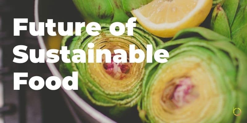Future of Sustainable Food - Expert Panel About Food Production ...