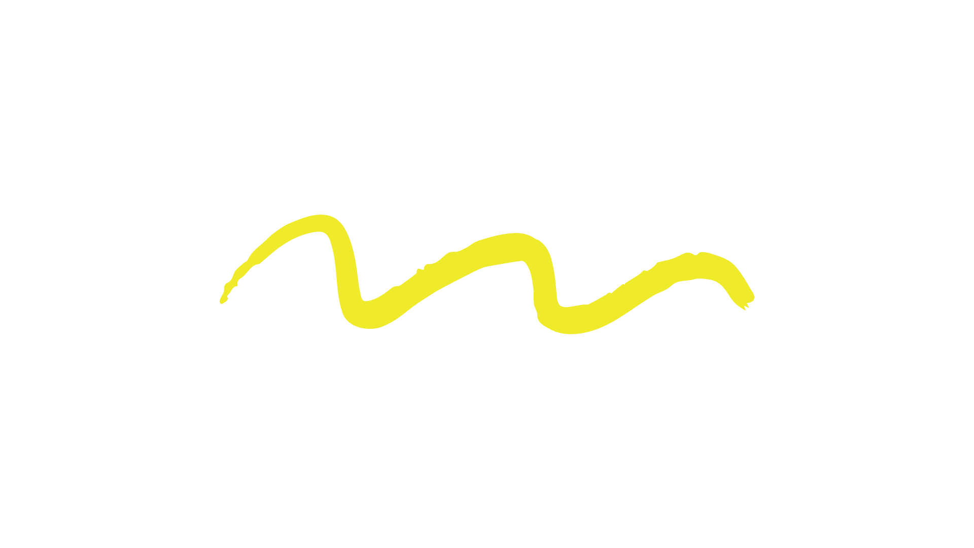 Personal-Branding-Squiggle-Design